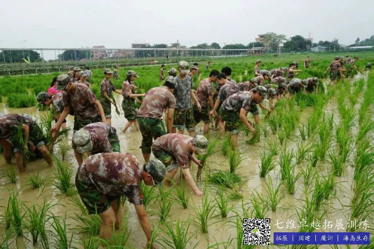 篮球基本功训练计划视频讲解_2